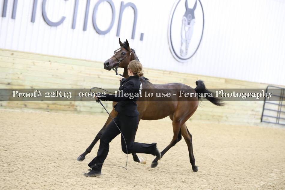 Proof 22R13_00922