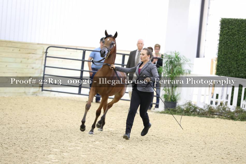Proof 22R13_00926