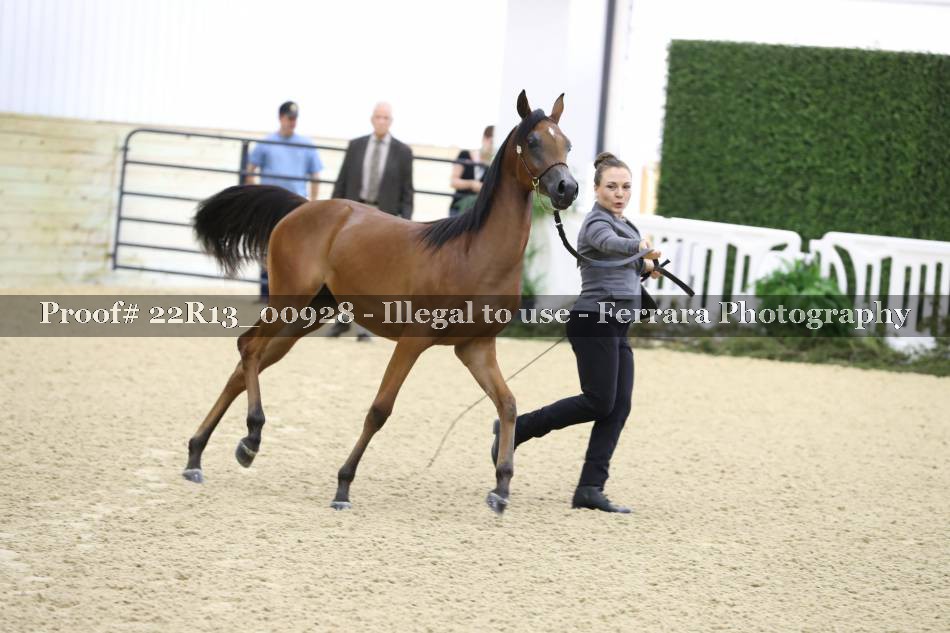 Proof 22R13_00928