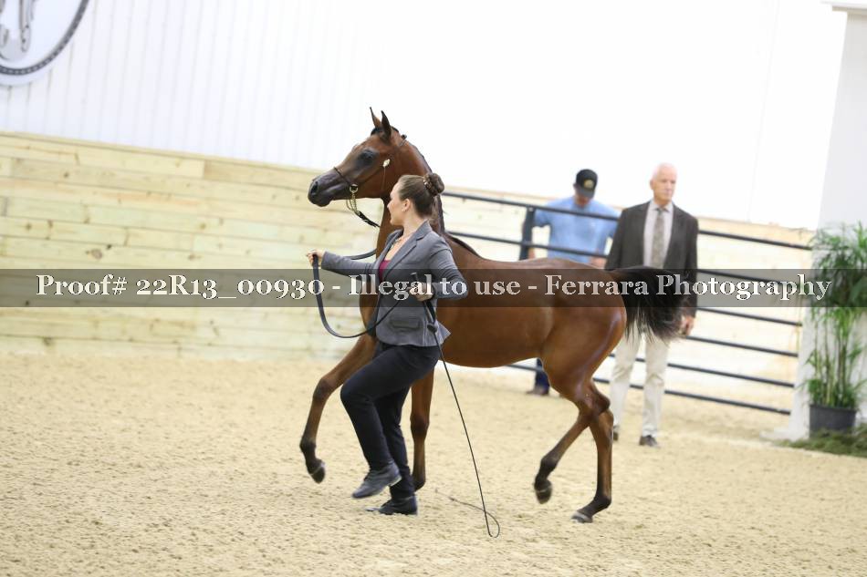 Proof 22R13_00930