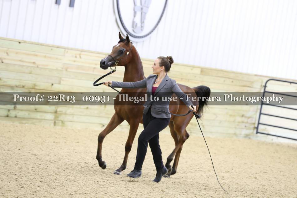 Proof 22R13_00931