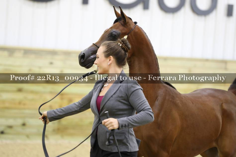 Proof 22R13_00934