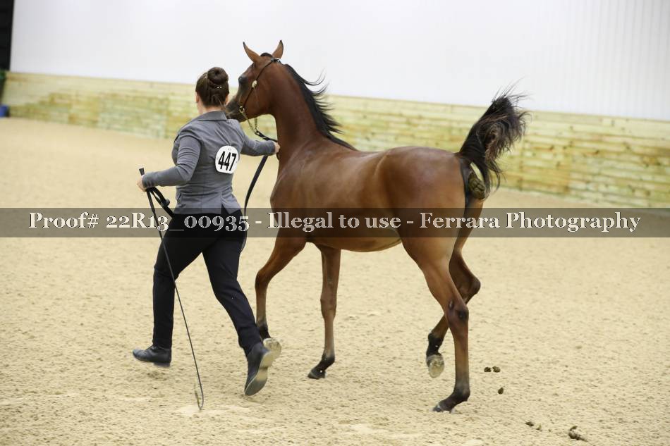 Proof 22R13_00935