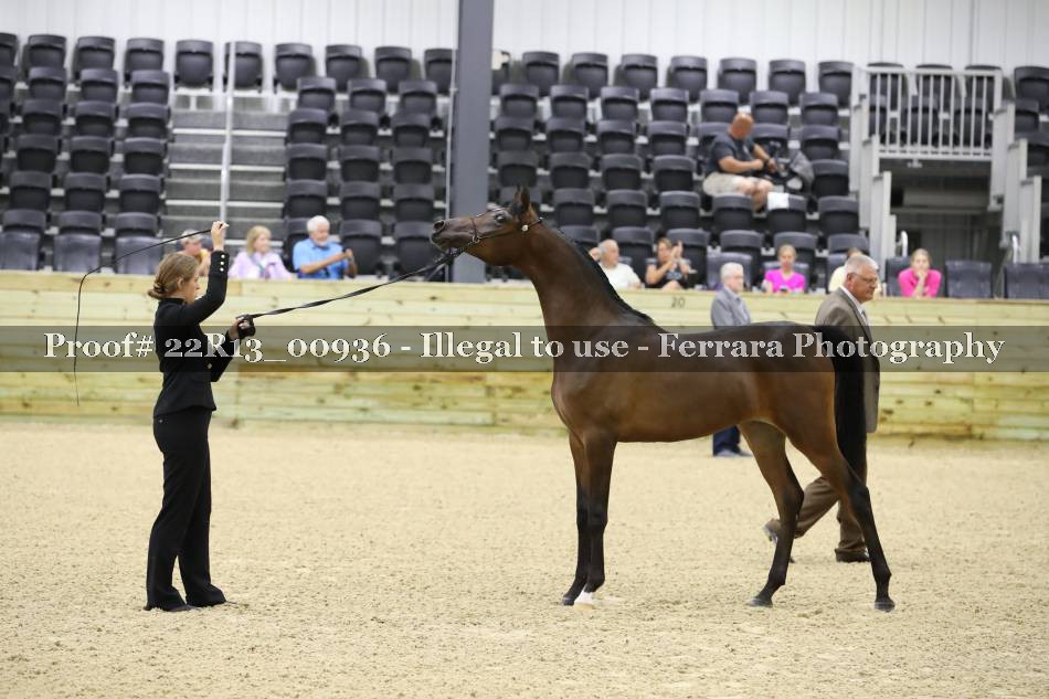 Proof 22R13_00936