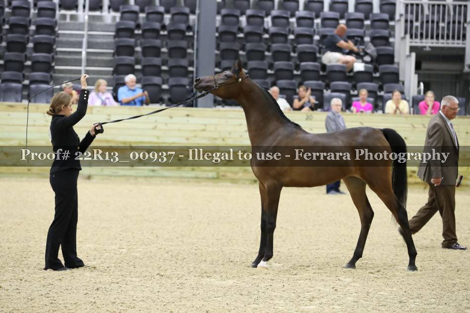 Proof 22R13_00937