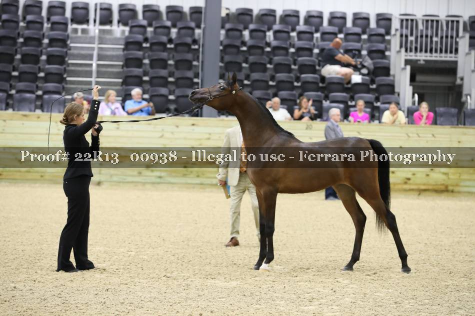 Proof 22R13_00938