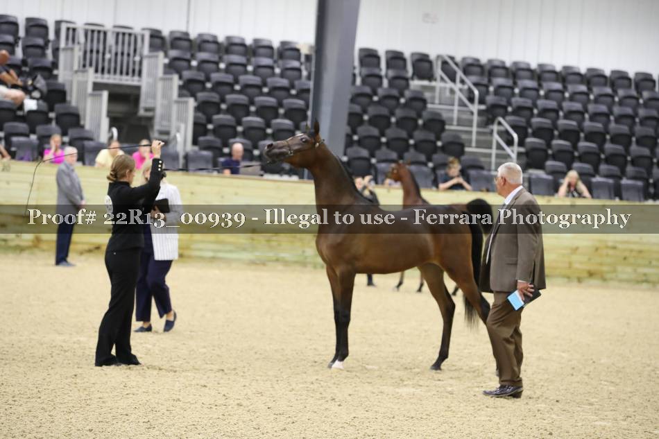 Proof 22R13_00939