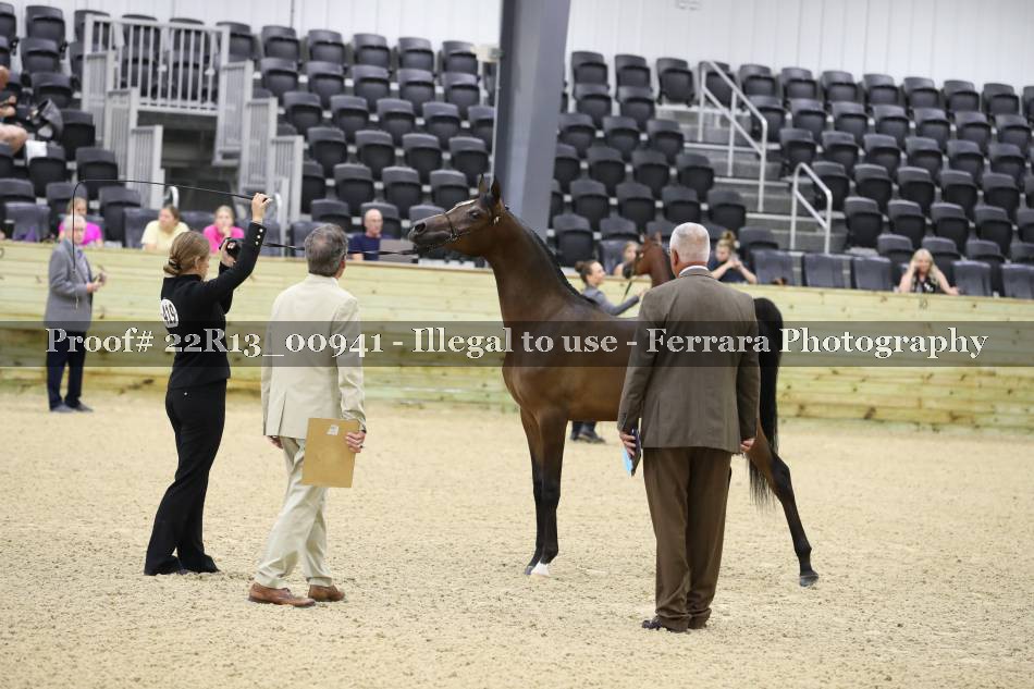 Proof 22R13_00941