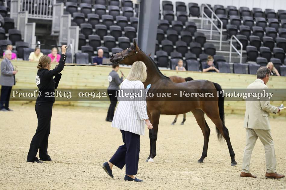 Proof 22R13_00942