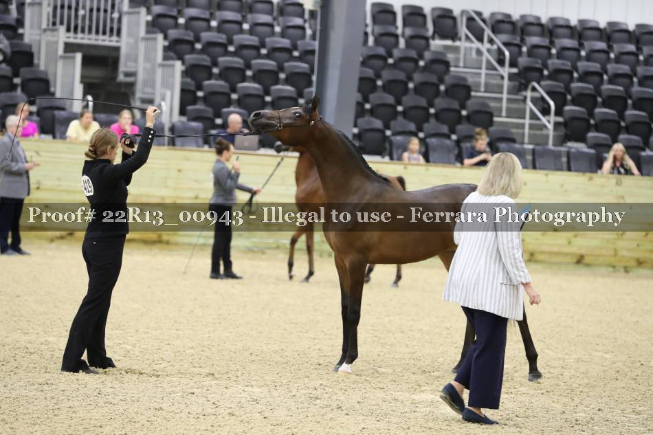 Proof 22R13_00943