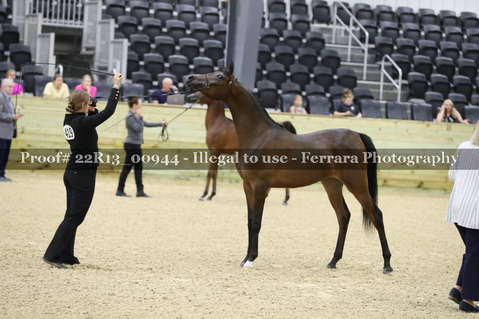 Proof 22R13_00944