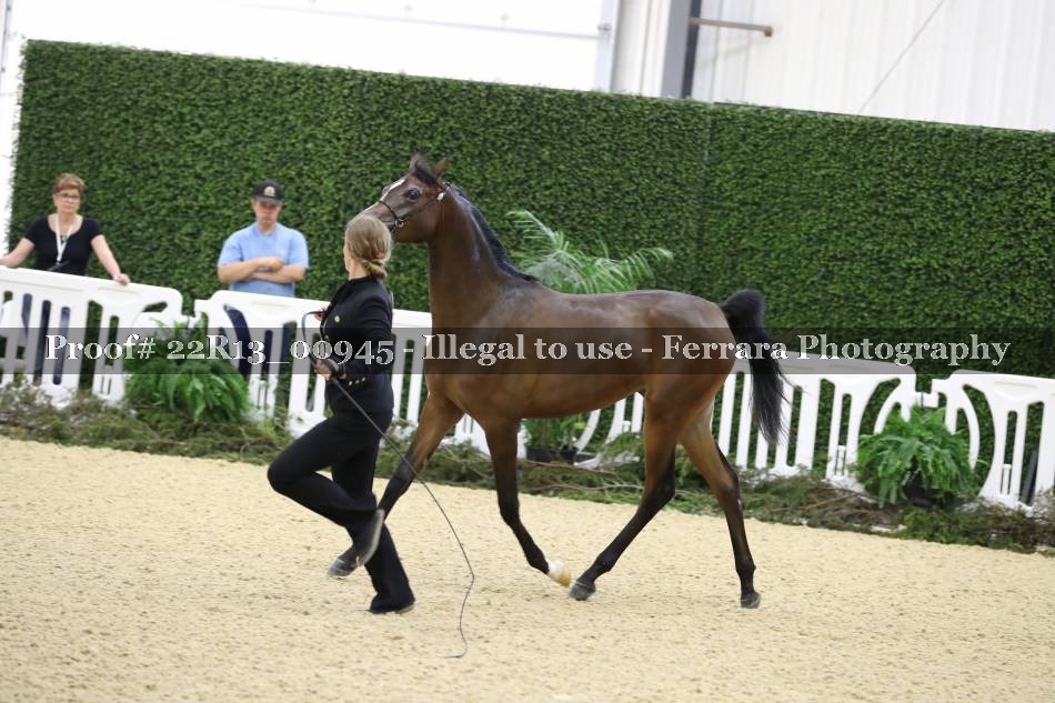 Proof 22R13_00945