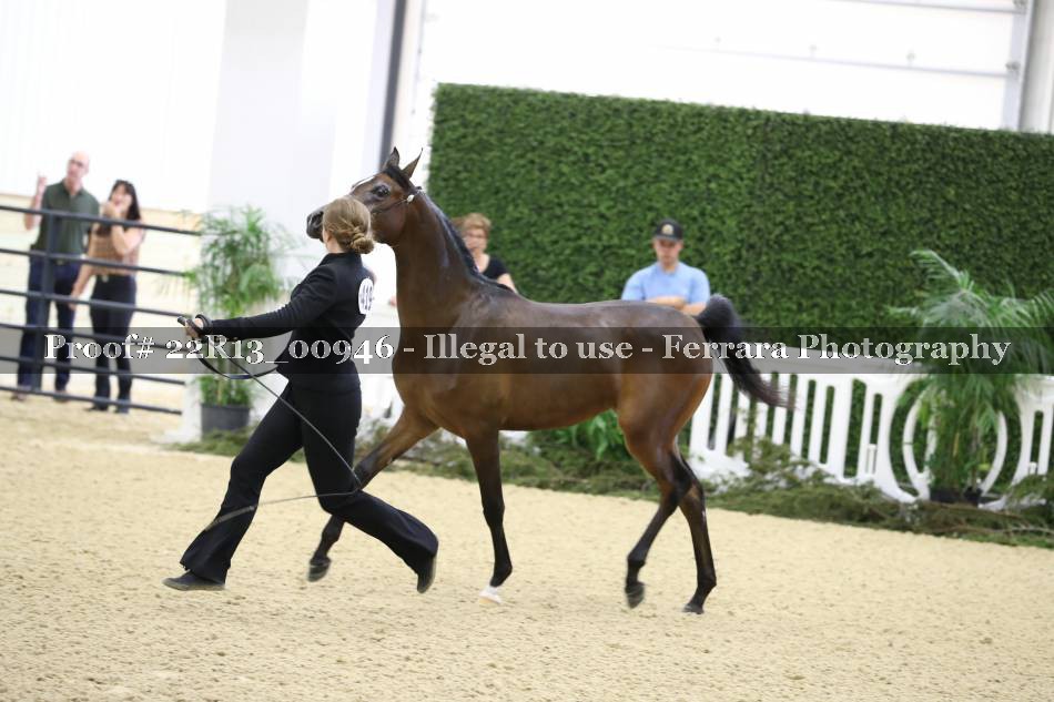 Proof 22R13_00946