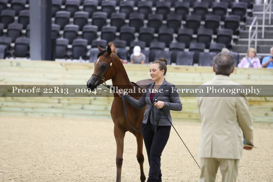 Proof 22R13_00947