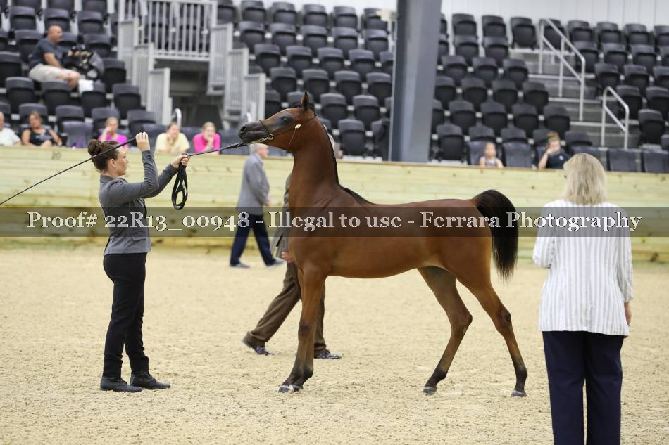 Proof 22R13_00948