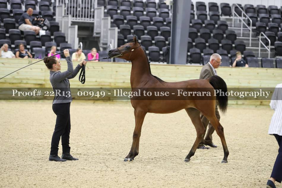 Proof 22R13_00949