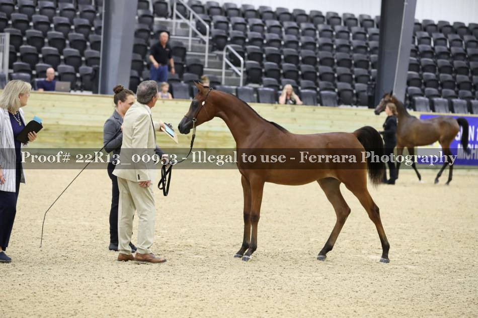 Proof 22R13_00953