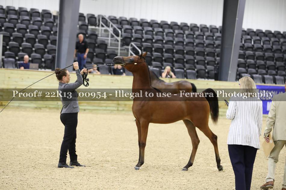 Proof 22R13_00954