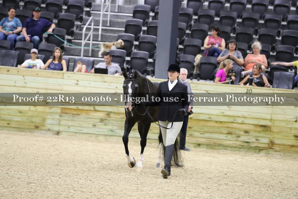 Proof 22R13_00966