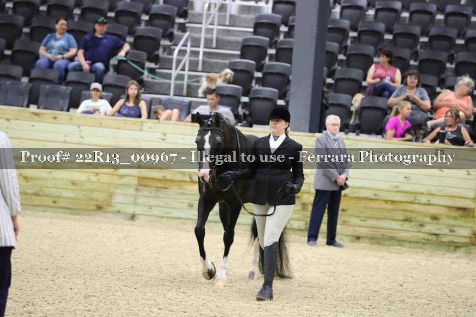 Proof 22R13_00967