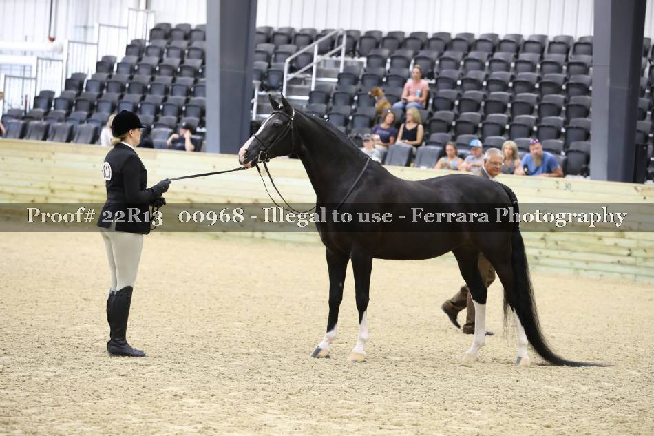 Proof 22R13_00968