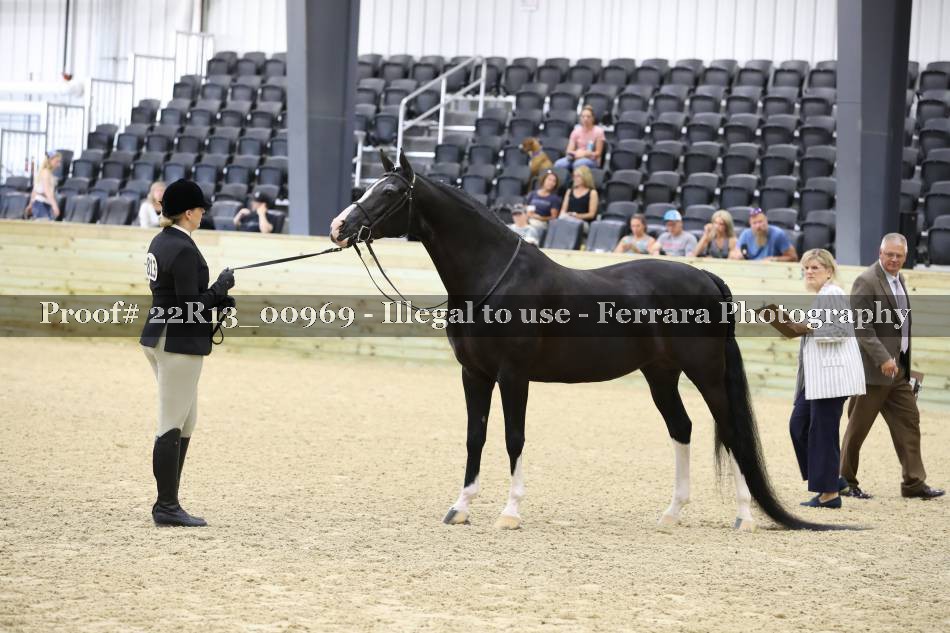 Proof 22R13_00969