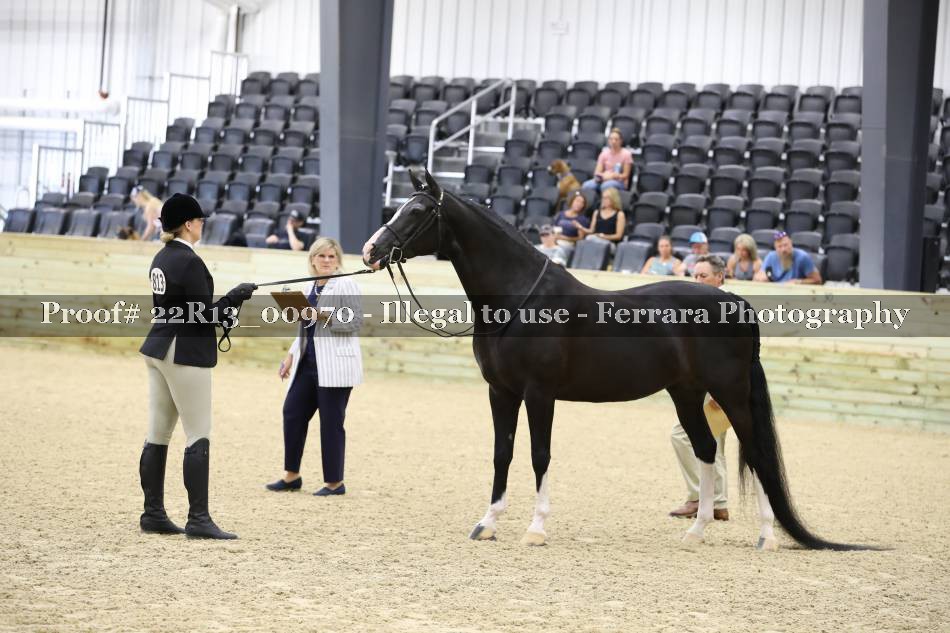 Proof 22R13_00970