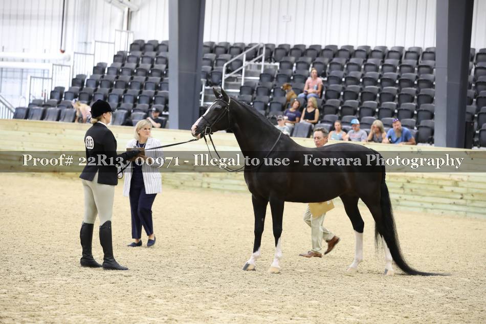 Proof 22R13_00971