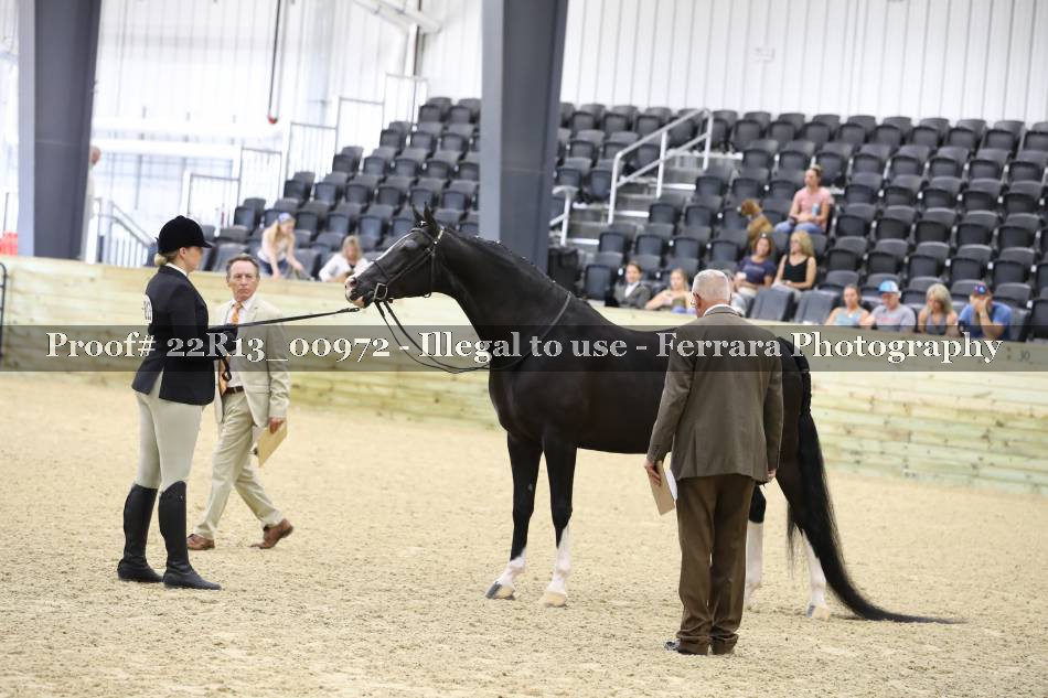 Proof 22R13_00972