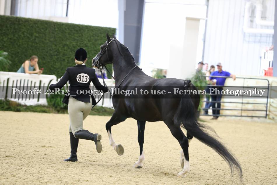 Proof 22R13_00973