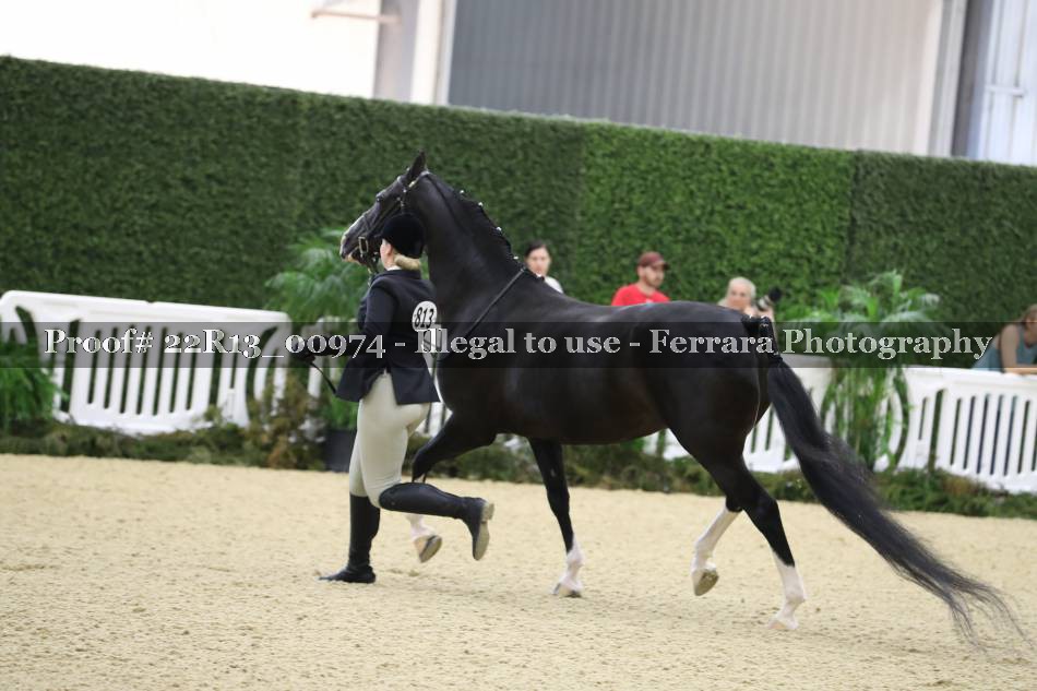 Proof 22R13_00974