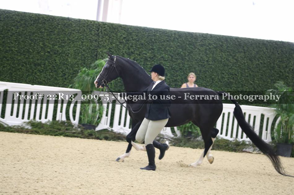 Proof 22R13_00975