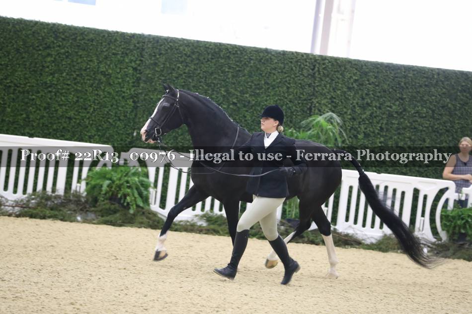 Proof 22R13_00976
