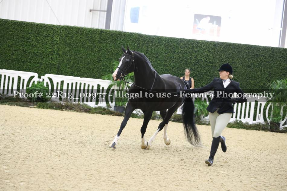 Proof 22R13_00977