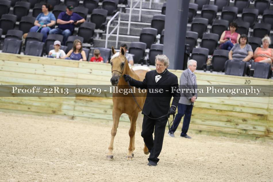 Proof 22R13_00979