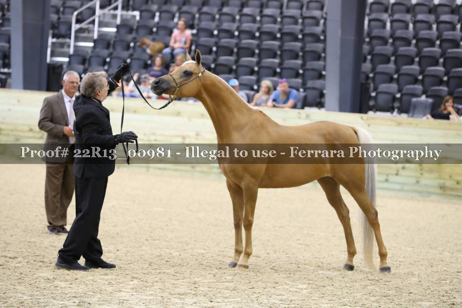 Proof 22R13_00981
