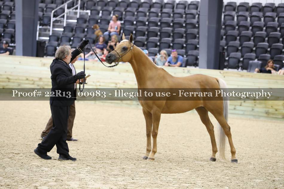 Proof 22R13_00983