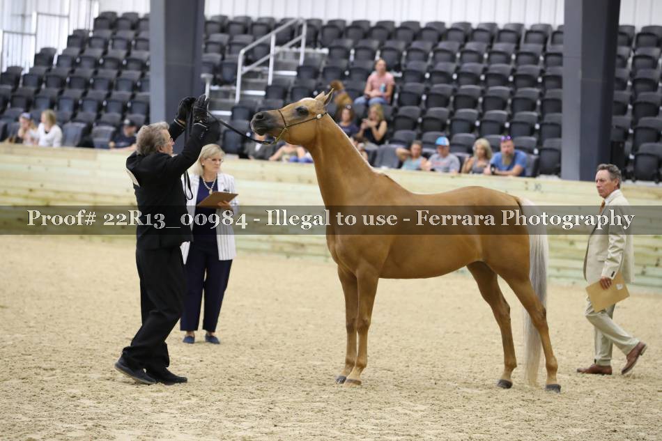 Proof 22R13_00984