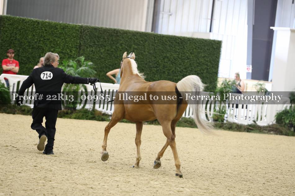 Proof 22R13_00985