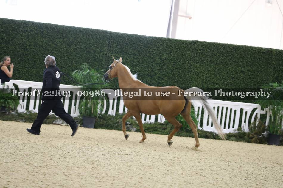 Proof 22R13_00986