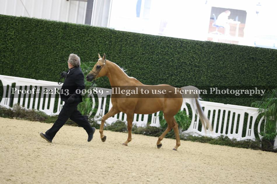 Proof 22R13_00989