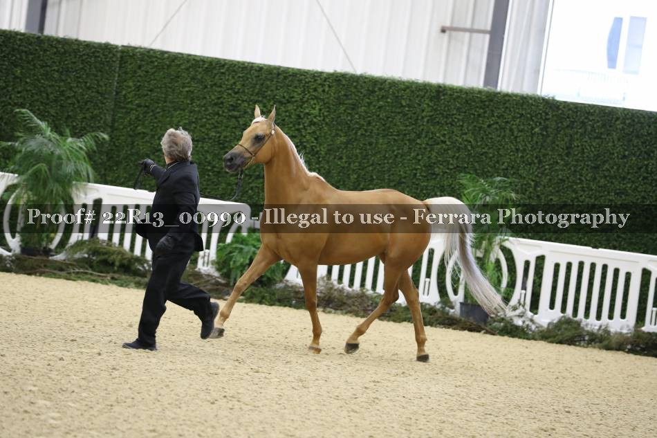 Proof 22R13_00990