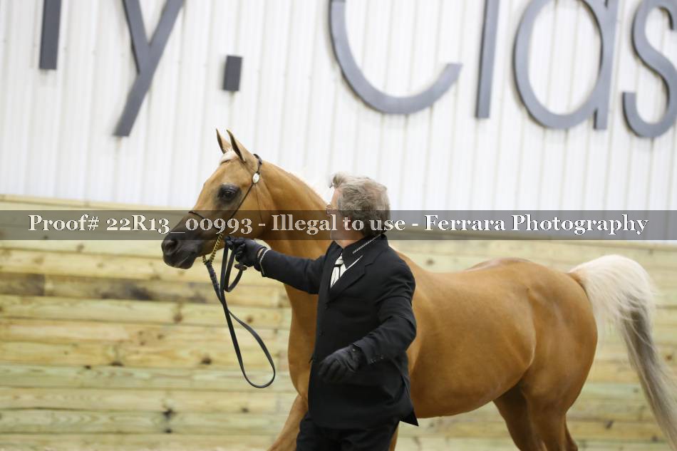 Proof 22R13_00993