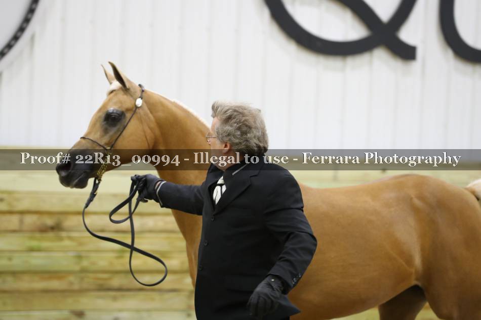 Proof 22R13_00994