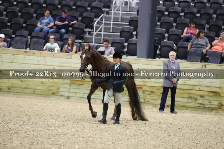 Proof 22R13_00995