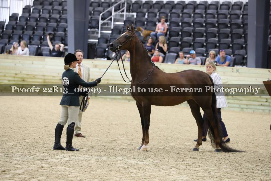 Proof 22R13_00999