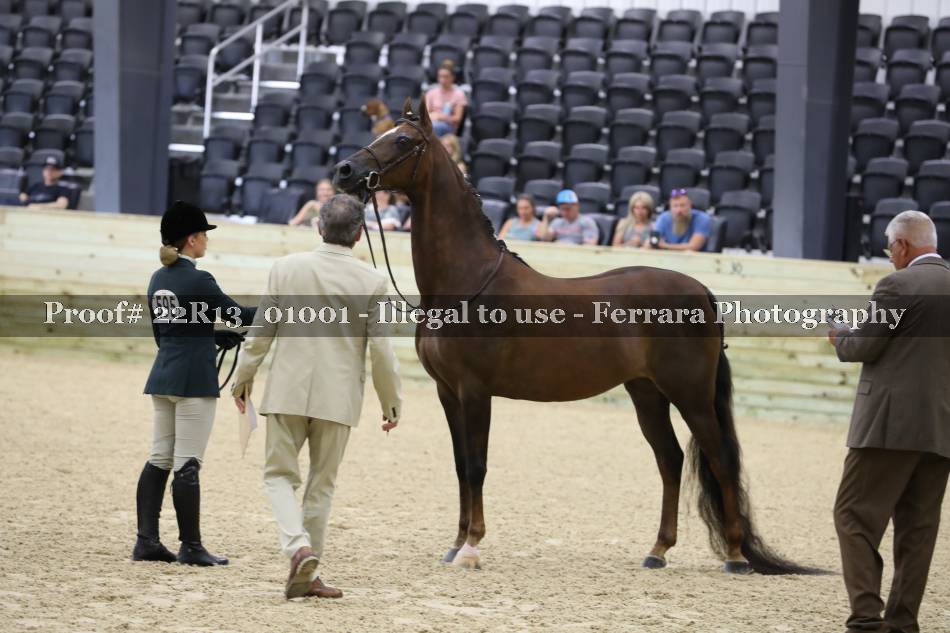 Proof 22R13_01001