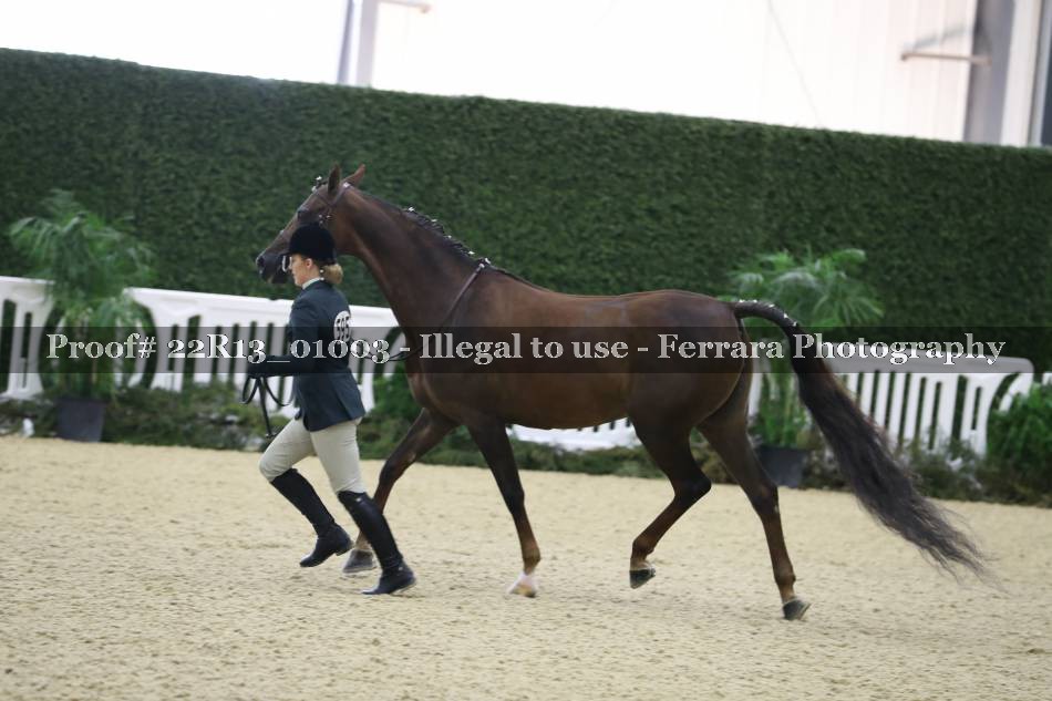 Proof 22R13_01003