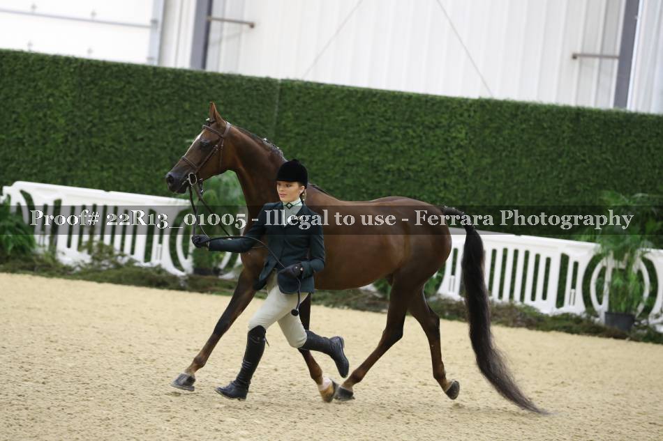 Proof 22R13_01005