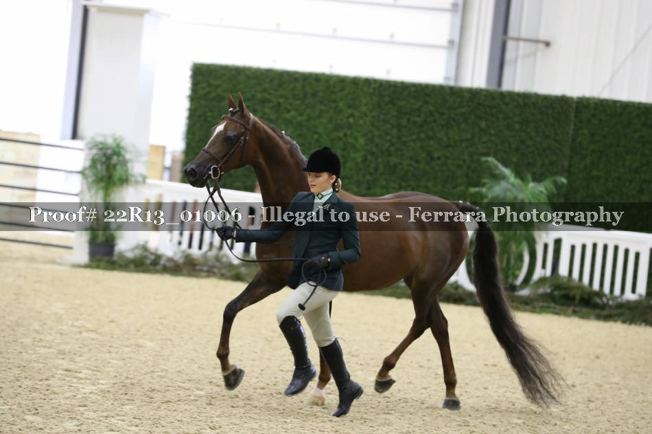 Proof 22R13_01006